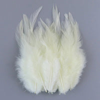 Natural Pheasant & Chicken Craft Feathers Bulk Lot