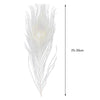 Premium Peacock Eye Feathers 10PC