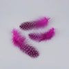 Natural Spotted Guinea Fowl Feathers 100PC