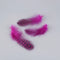 Rose Red / 100PCS