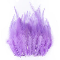 Natural Pheasant & Chicken Craft Feathers Bulk Lot