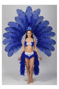Deluxe Feather Flower Backboard Showgirl Performance Set
