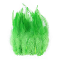 Natural Pheasant & Chicken Craft Feathers Bulk Lot
