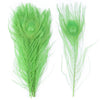 Premium Peacock Eye Feathers 10PC