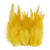 Natural Pheasant & Chicken Craft Feathers Bulk Lot