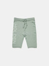 Seamless Biker Short - Sage
