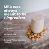 100% Macadamia Milk (12 Packs)