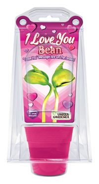 "I Love You" Bean Terrarium