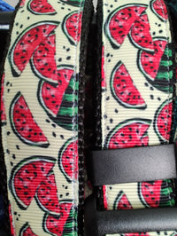 Watermelon Black Nylon Dog Collar MD, LG, XL, Leash