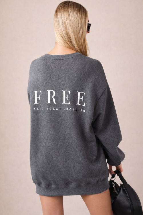 Oversized Sweatshirt Dress - Heather Gray