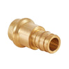1-1/4" Copper Press x 1-1/4" PEX Expansion Brass Adapter (Lead Free)