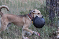 Magnum Bottle Top Flyer Rubber Frisbee for Heavy Chewers | Large | USA Made