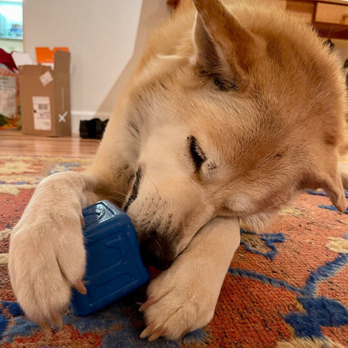 Love Cube eDispenser - Durable Rubber Chew Toy & Treat Dispenser | USA Made