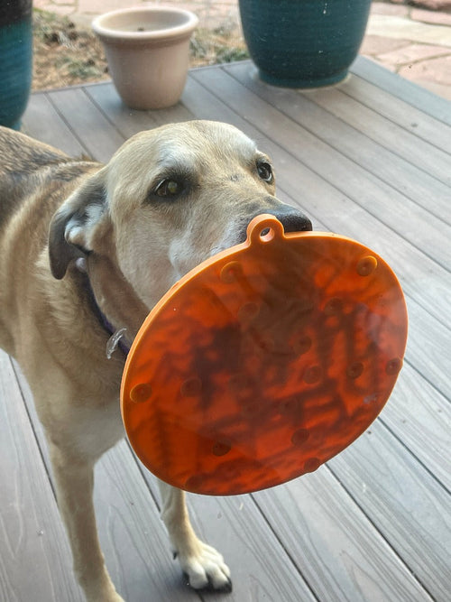 Camp eMat - Enrichment Lick Mat For Dogs and Cats - with Suction Cups | Retro Van Design | USA Made