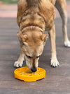 Sunflower eTray Shallow Slow Feeder Dog Bowl for Enrichment | USA Made
