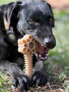 Honey Bone Dental Flower Tower - Indestructible Nylon Dog Chew Toy XL | USA