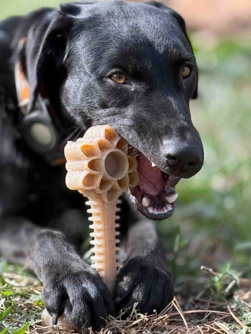 Honey Bone Dental Flower Tower - Indestructible Nylon Dog Chew Toy XL | USA