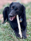 Durable Nylon Chew Stick for Power Chewers | Indestructible Dog Toy USA