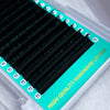 Cashmere PRO Extra Matte Deep Black Lash 【0.02 mm】16-lines - NO logo【Best Quality Ever】