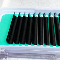Cashmere PRO Extra Matte Deep Black Lash 【0.02 mm】16-lines - NO logo【Best Quality Ever】