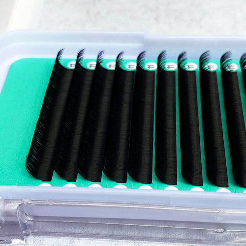 Cashmere PRO Extra Matte Deep Black Lash 【0.02 mm】16-lines - NO logo【Best Quality Ever】