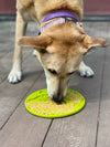 Tree of Life eMat - Enrichment Lick Mat For Dogs and Cats - With Suction Cups | Tree Design | USA Made