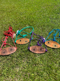 Sunflower Bronc Halters