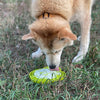 Water Frog eTray - Shallow Slow Feeder Dog Bowl for Enrichment | USA Made