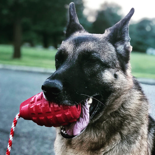 USA-K9 Grenade Shaped Rubber Dog Toy - Chew, Treat Dispenser & Tug Toy | USA - Army Green