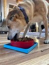 Hold 'em Suction Cup Holder for Dog Bowls & Lick Mats | USA Made