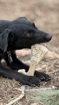 Waffle Tower Nylon Chew & Enrichment Toy | 2-in-1 for Aggressive Chewers | SodaPup