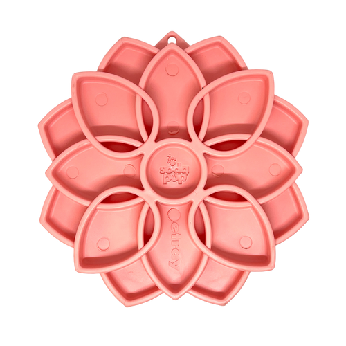 Mandala Softie eTray Shallow Slow Feeder Dog Bowl with Suction Cups |  USA Made