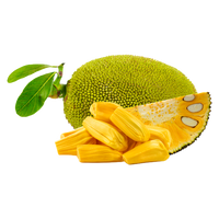 Freeze-Dried Jackfruit