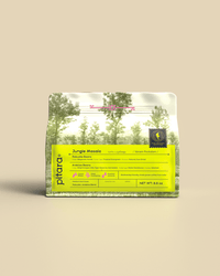 Jungle Mosaic - Medium Dark Roast