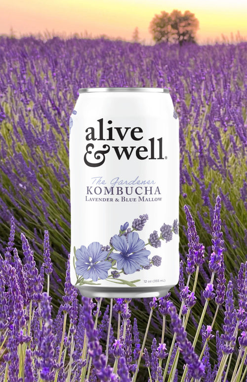 Lavender & Blue Mallow Kombucha Organic Bubble Goods