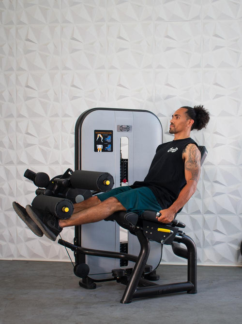 Vogue Selectorized Leg Extension/Seated Leg Curl by Muscle D Fitness