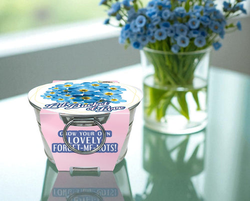 Lil' Bucket of Love - Grow Your Own Forget-Me-Nots Multipack of 3