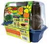 Crazy Cat Plant Mini World Terrarium