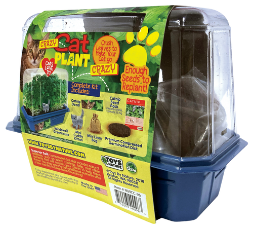 Crazy Cat Plant Mini World Terrarium