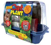 Crazy Cat Plant Mini World Terrarium