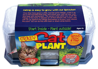 Crazy Cat Plant Mini World Terrarium