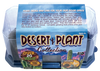 Desert Plant Collection Mini World Terrarium