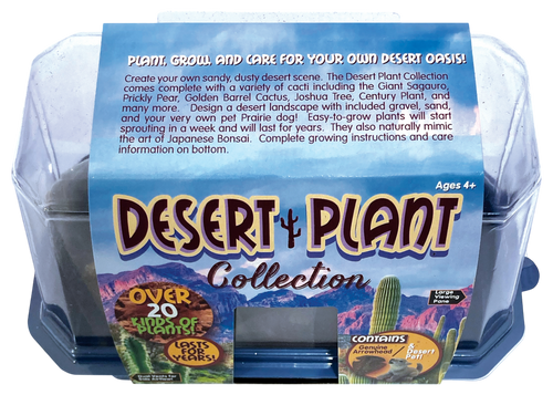 Desert Plant Collection Mini World Terrarium