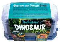 Prehistoric Dinosaur Land Mini World Terrarium