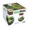 MossBowl- Grow Your Own Beautiful Moss Garden, Complete Kit Come with 3 Mosses!