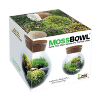MossBowl- Grow Your Own Beautiful Moss Garden, Complete Kit Come with 3 Mosses!
