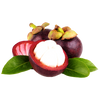 Freeze-Dried Mangosteen
