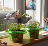 Fred 'The Ferocious' Flytrap Micro Dome Terrarium