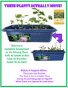 The Astounding Moving Plant Sprouter Terrarium