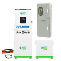 MyGrid 10K with Transfer Switch for House Battery Backup